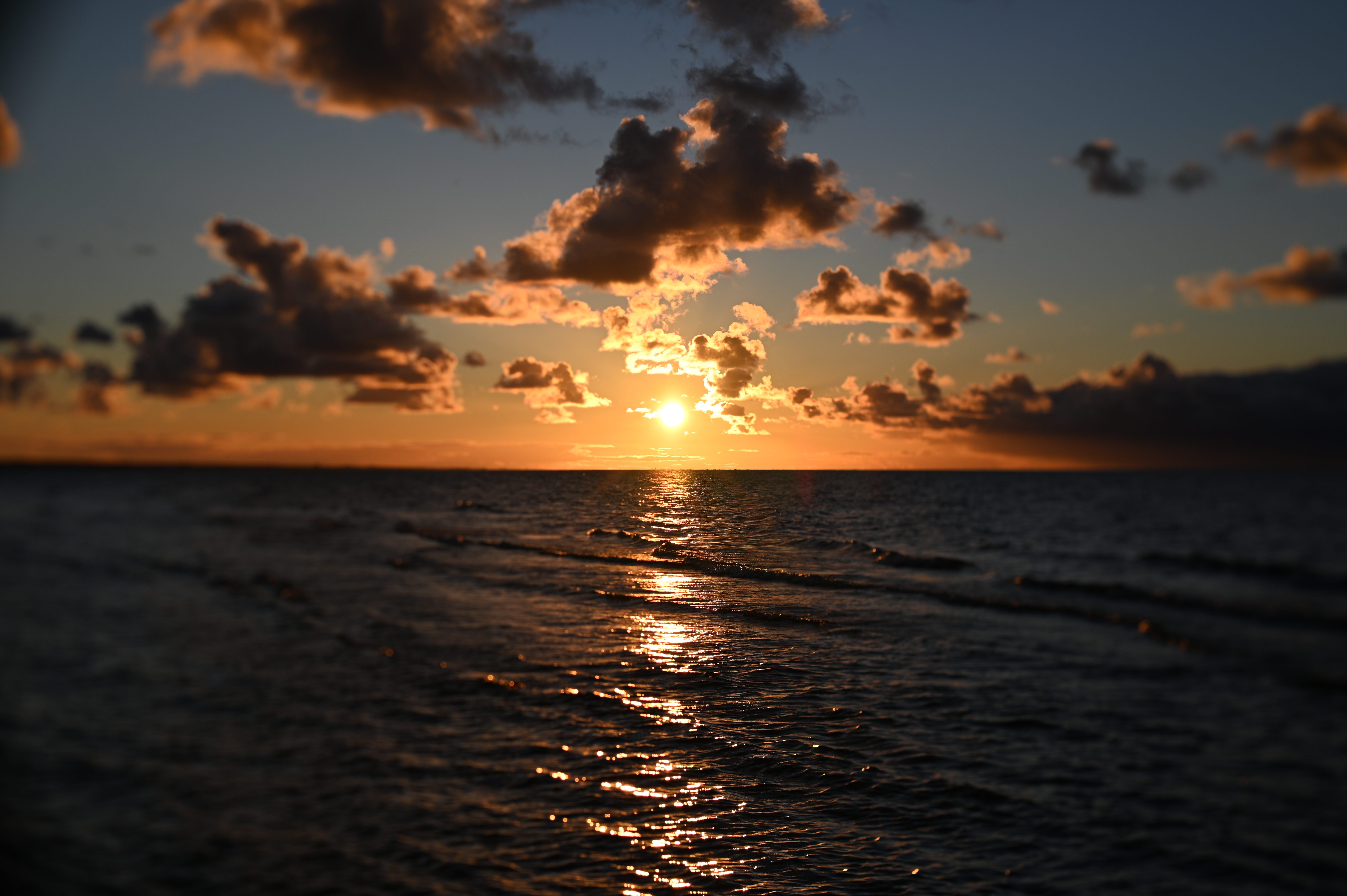 2025/10/18 - walk/DSC_0369.JPG